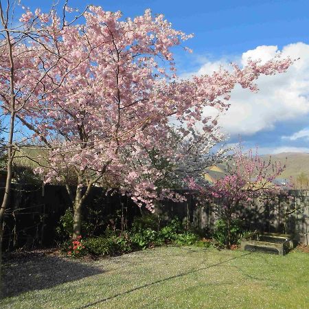 Silverlights B & B Cromwell Bagian luar foto